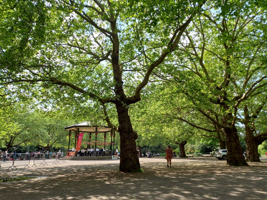 A spacious outdoor park scene during daytime featuring large mature trees with thick, dark brown textured bark and sprawling branches covered in vibrant green leaves, creating a canopy of shade over the ground. In the background, there is a small bandstand with a circular roof supported by metal poles and red decorative fabric hanging from the sides, with musicians or performers seated underneath. The park's open area is paved with a flat, light-colored surface, and several metal barriers are set up along the perimeter, possibly for an event or display. A few people can be seen walking or standing near the bandstand, including a person wearing a patterned dress walking toward the right side of the image. Parked cars are visible beyond the trees, indicating proximity to a roadway or parking area. The scene is lit with natural daylight, with dappled shadows cast by the leaves on the ground, creating a peaceful and well-maintained environment that could be linked to outdoor community events or leisure activities, relevant in contexts of alternative waste handling like occasional rubbish collection services by Waste Disposal Clapham.